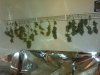 IMG_20121015_143108.jpg