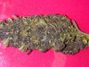 IMG-20121016-00928.jpg
