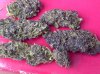 IMG-20121016-00930.jpg