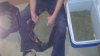 2012-10-15_20-47-52_974.jpg