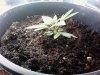 PIC-0467.jpg