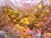 DSC05820.jpg