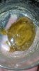 2012-10-16_20-47-38_283.jpg