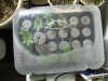 10-17-12 veg room clones.jpg