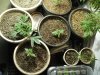 10-17-12 veg room room 1.jpg