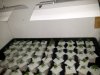 20120827_160430.jpg
