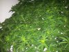 20120911_180619.jpg