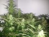 20121007_100744.jpg