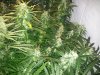 20121011_100051.jpg
