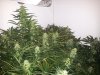 20121011_100118.jpg