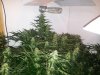 20121011_100143.jpg
