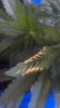 2012-10-17_12-21-16_791.jpg 2012-10-17_12-21-16_791.jpg