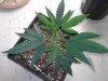 20121018_111435.jpg