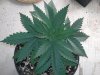 20121018_111532.jpg