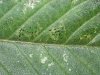 20121015_194106.jpg