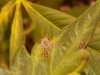 20121015_194029.jpg