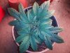 20121018_192635.jpg 20121018_192635.jpg