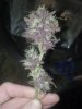 2012-10-17_19-25-04_435.jpg