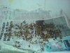 DSC02560.jpg
