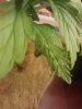 IMAG0116.jpg