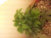 20121022_181406.jpg