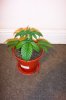 100_2815.jpg