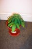 100_2816.jpg