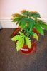 100_2817.jpg