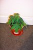 100_2818.jpg