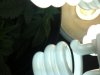 IMG_0178.jpg IMG_0178.jpg