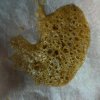 Chernobyl BHO_crop.jpg