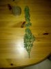IMG-20121025-00438.jpg