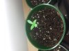 20121026_112837.jpg