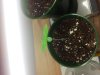 20121026_112828.jpg 20121026_112828.jpg