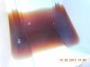 DSCN3461.jpg