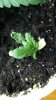 2012-10-26_04-20-28_215.jpg