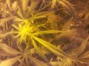20121026_231035.jpg 20121026_231035.jpg
