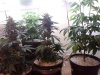 10.25 Group Shot.jpg