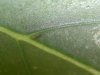 20121027_144635.jpg 20121027_144635.jpg
