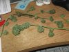 early budz 005.jpg