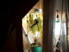 100_0170.jpg