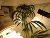 DSC01880.jpg