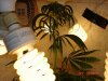 DSC01884.jpg