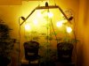 1stbuds 088.jpg