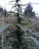 09-18-08_1132.jpg