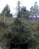 09-18-08_1136.jpg