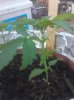 IMG_20121029_070824.jpg