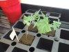 20121029_072234.jpg 20121029_072234.jpg