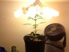 image123.jpeg