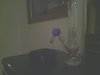 IMG_20121030_000012.jpg